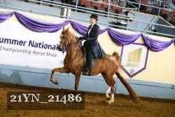 21YN_21486 thumbnail