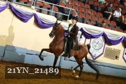 21YN_21489 thumbnail