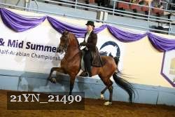 21YN_21490 thumbnail