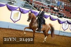21YN_21492 thumbnail