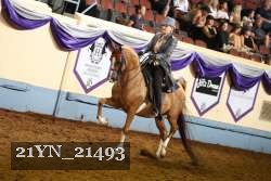 21YN_21493 thumbnail