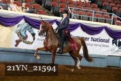 21YN_21594 thumbnail