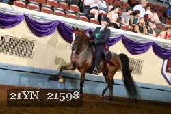 21YN_21598 thumbnail