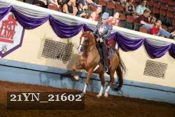 21YN_21602 thumbnail