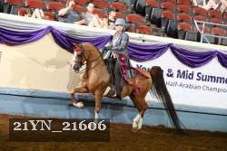 21YN_21606 thumbnail