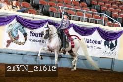 21YN_21612 thumbnail