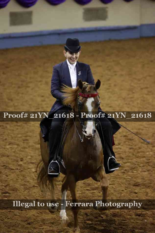 Proof Number 21YN_21618