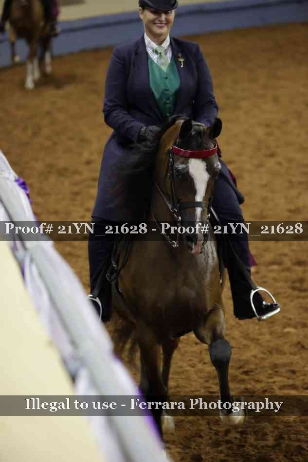 Proof Number 21YN_21628
