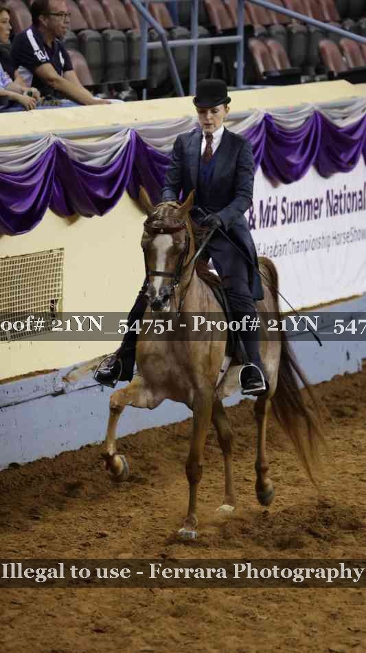 Proof Number 21YN_54751