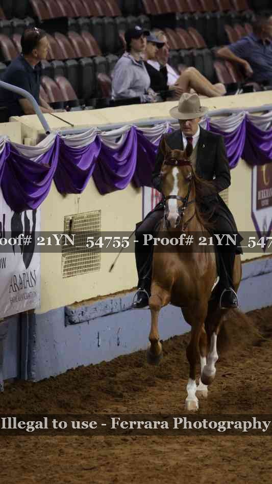 Proof Number 21YN_54755
