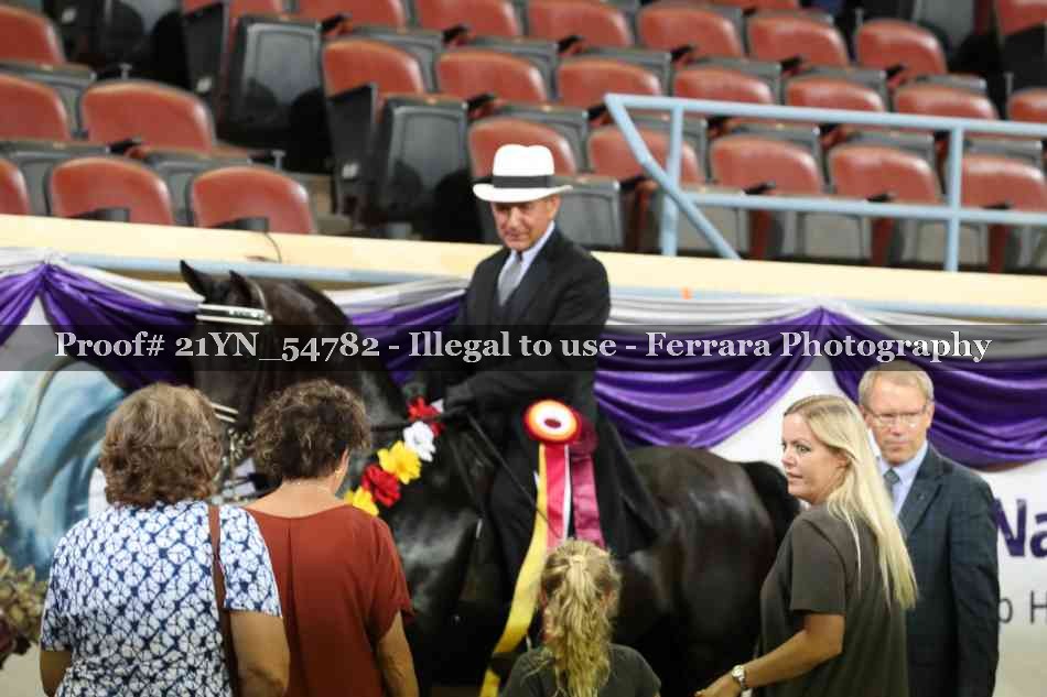 Proof Number 21YN_54782