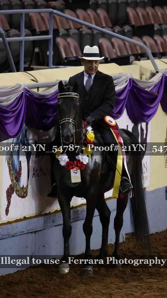 Proof Number 21YN_54787