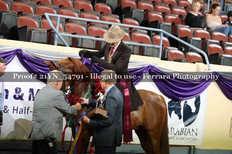 Proof Number 21YN_54791