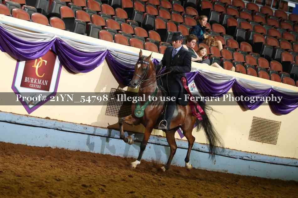 Proof Number 21YN_54798