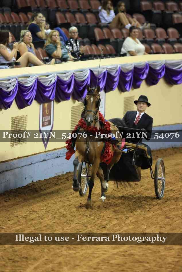Proof Number 21YN_54076