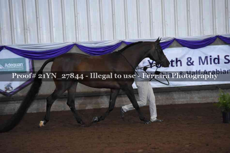 Proof Number 21YN_27844
