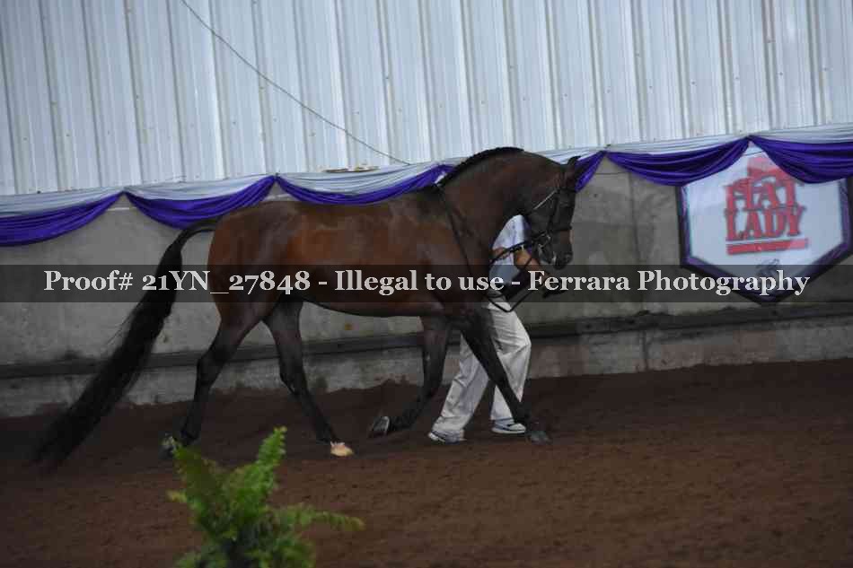 Proof Number 21YN_27848