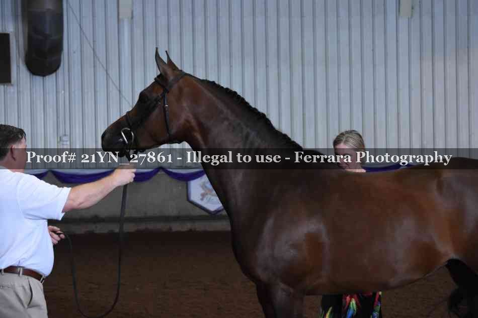 Proof Number 21YN_27861
