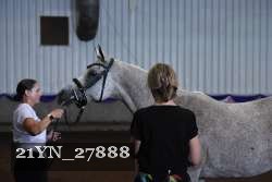 21YN_27888 thumbnail