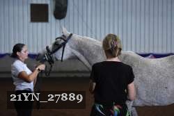 21YN_27889 thumbnail