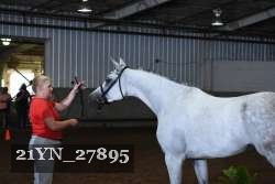 21YN_27895 thumbnail