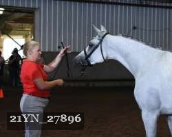 21YN_27896 thumbnail