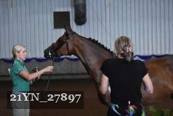 21YN_27897 thumbnail