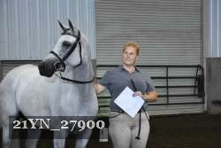 21YN_27900 thumbnail
