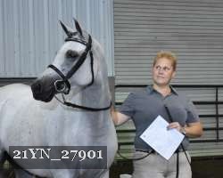 21YN_27901 thumbnail