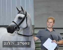 21YN_27902 thumbnail