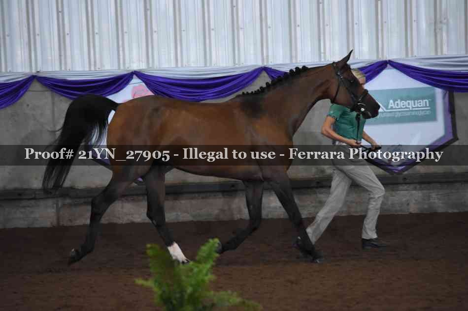 Proof Number 21YN_27905
