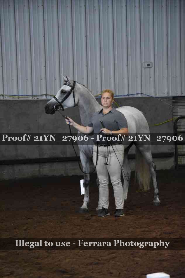 Proof Number 21YN_27906