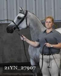 21YN_27907 thumbnail