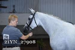 21YN_27908 thumbnail