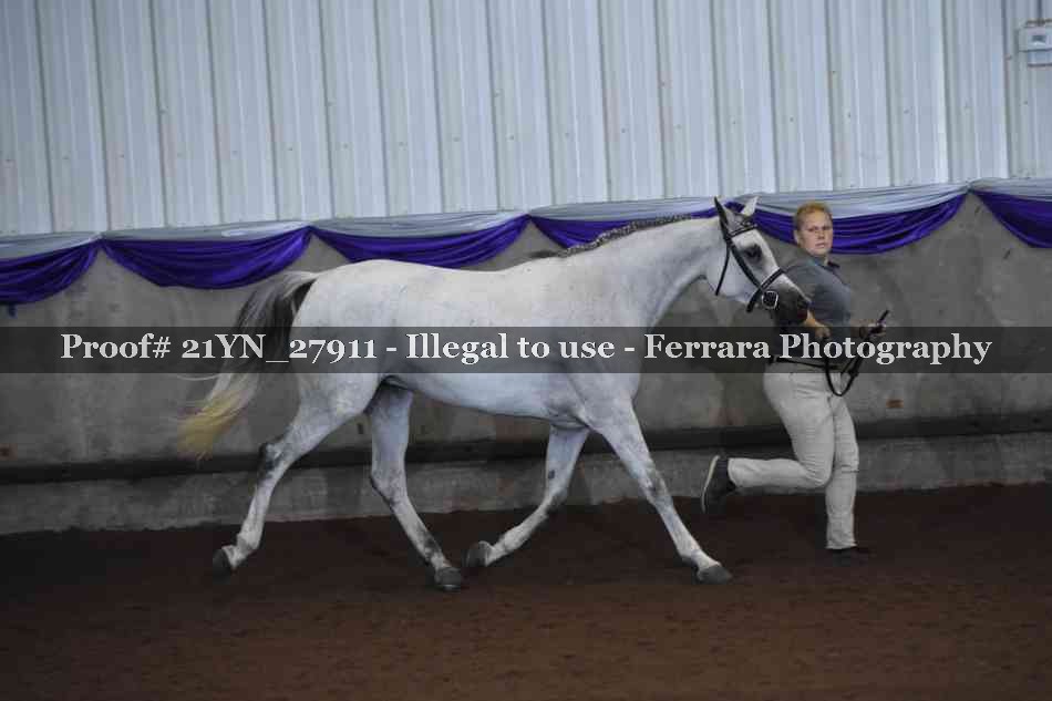 Proof Number 21YN_27911