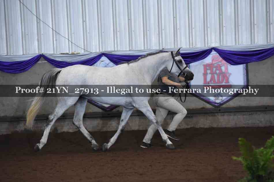 Proof Number 21YN_27913