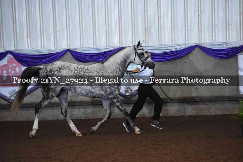 Proof Number 21YN_27924
