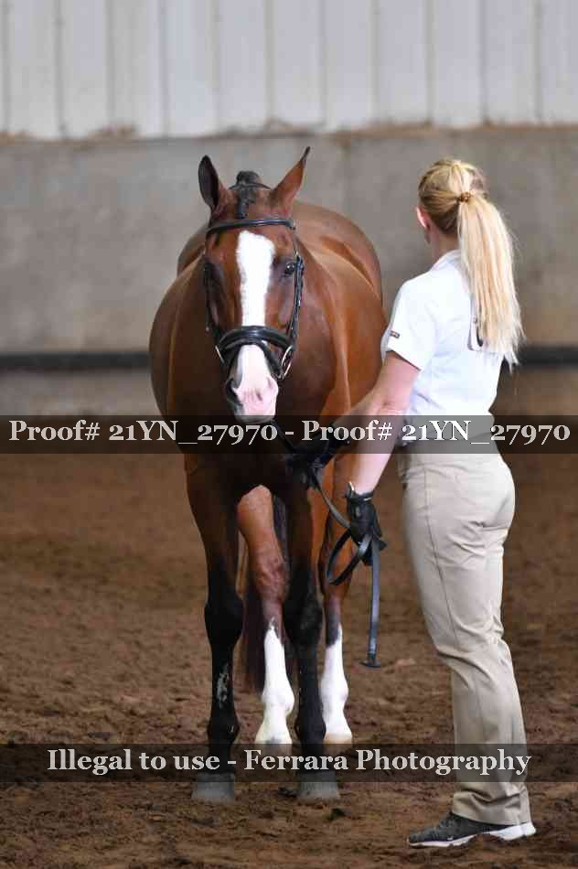 Proof Number 21YN_27970