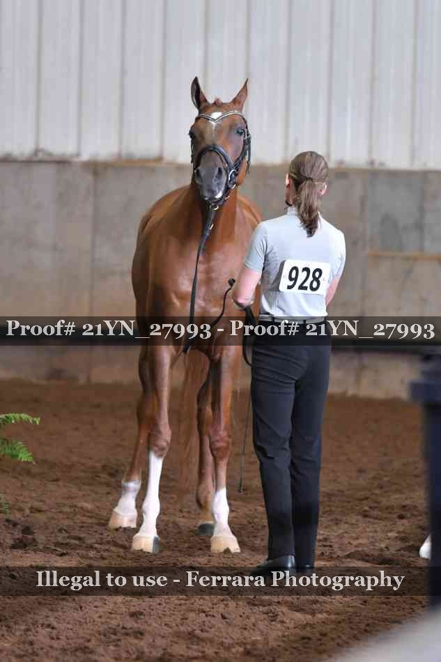 Proof Number 21YN_27993