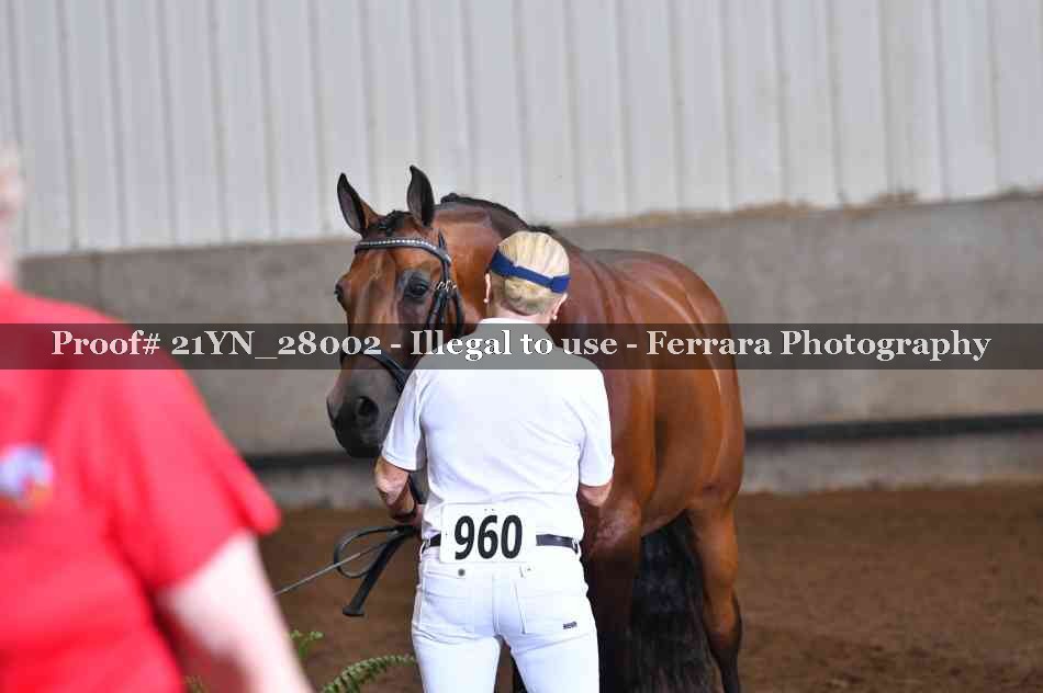 Proof Number 21YN_28002