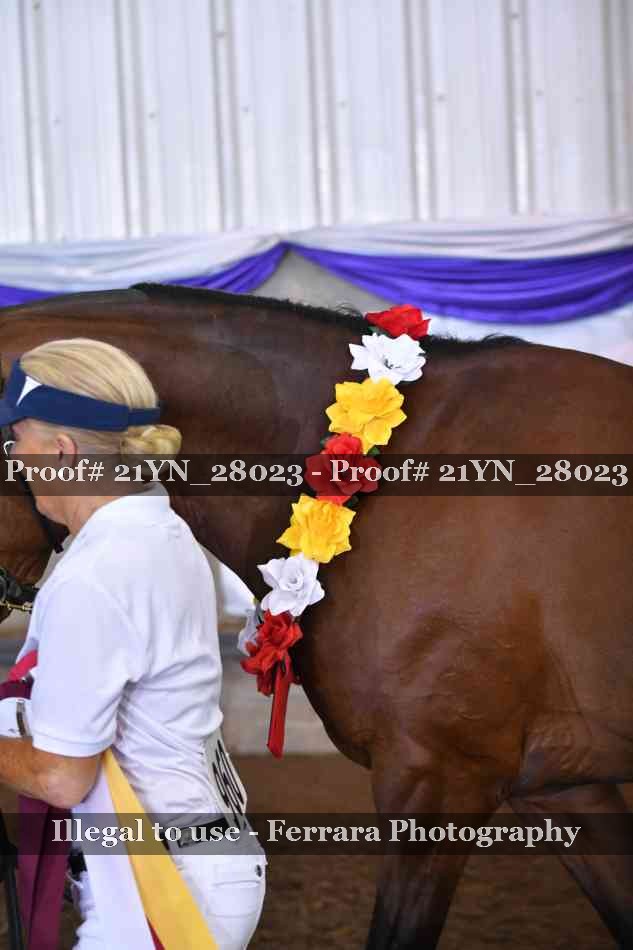 Proof Number 21YN_28023