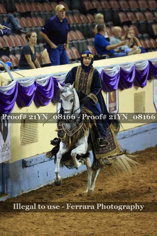 Proof Number 21YN_08166
