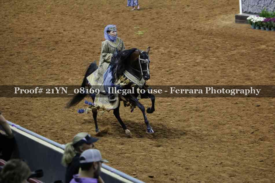 Proof Number 21YN_08169