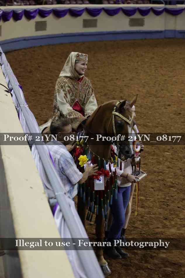 Proof Number 21YN_08177