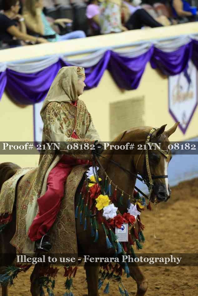 Proof Number 21YN_08182