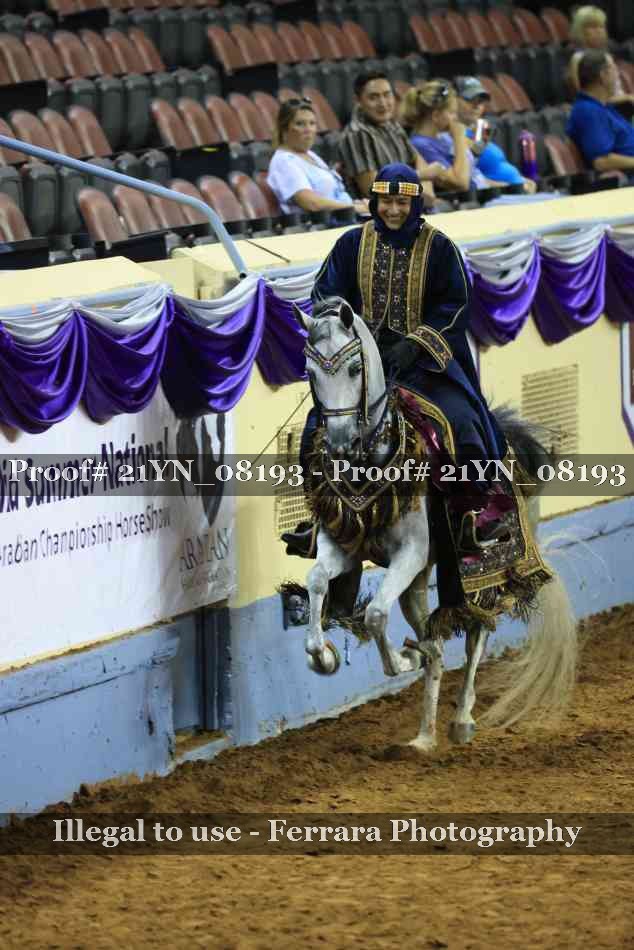 Proof Number 21YN_08193
