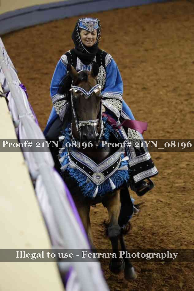 Proof Number 21YN_08196
