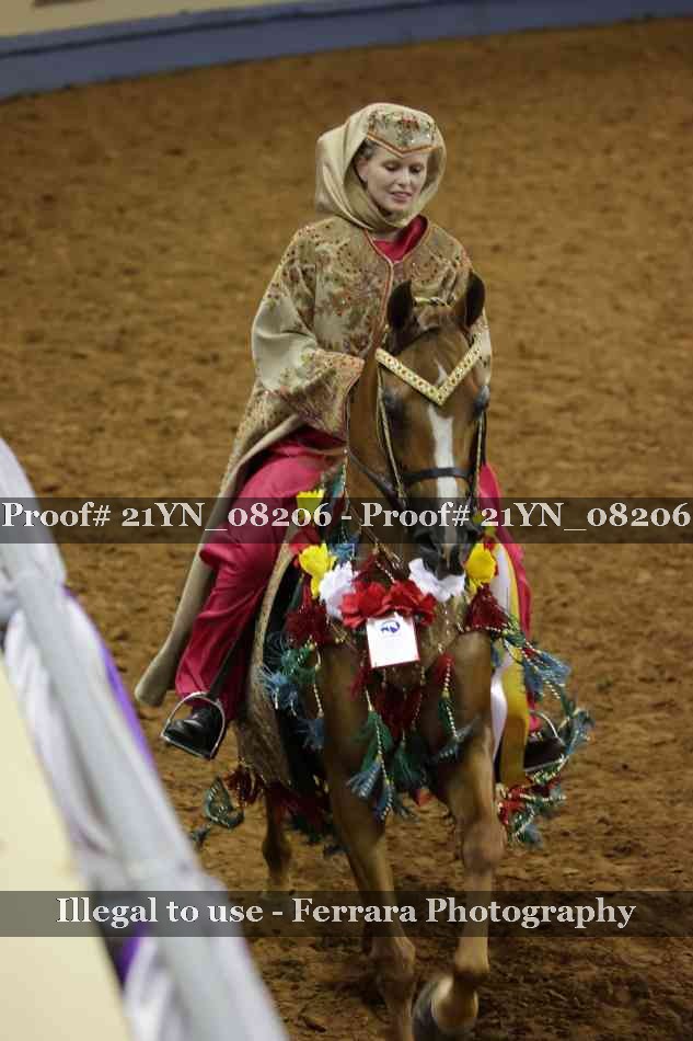 Proof Number 21YN_08206