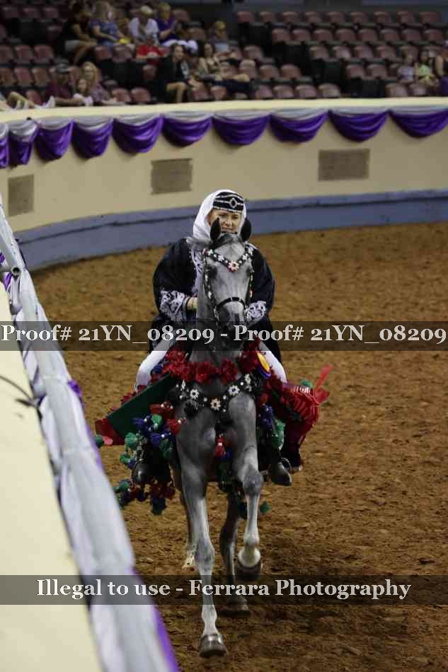 Proof Number 21YN_08209