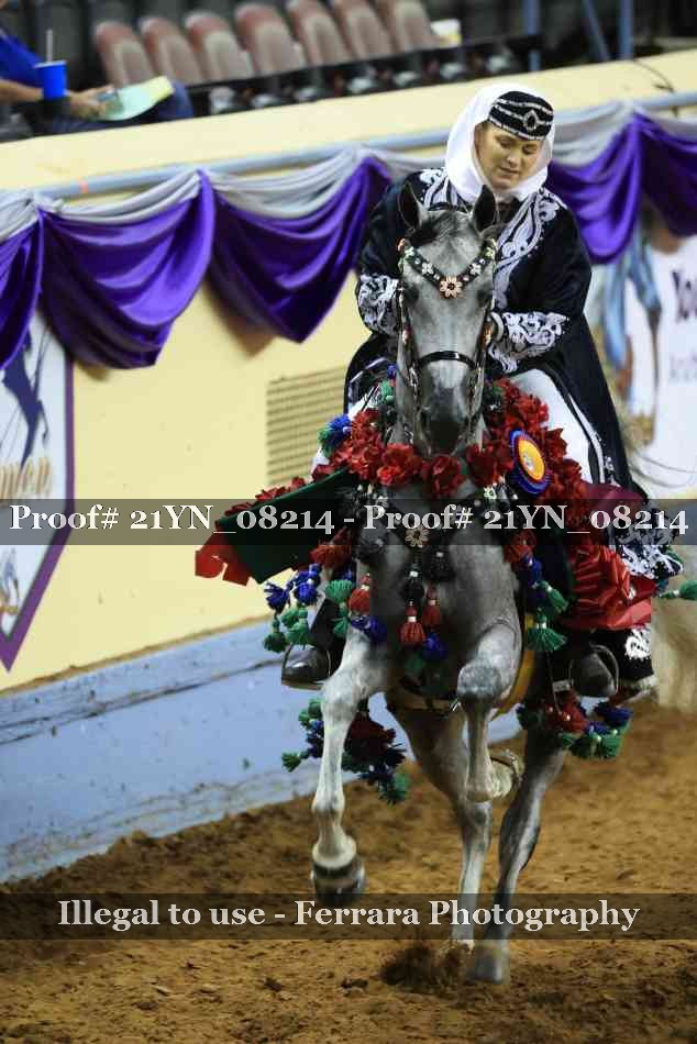 Proof Number 21YN_08214